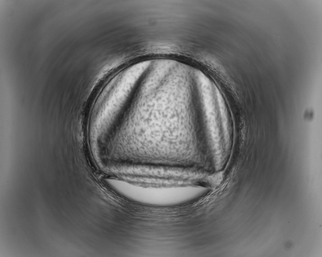 X0000098171218200805151109