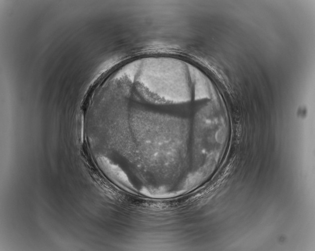 X0000098171219200805151109