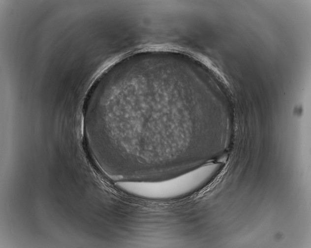 X0000098171221200805151109