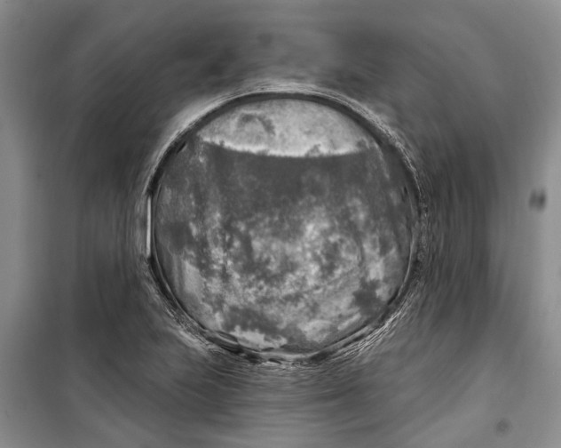 X0000098171223200805151109