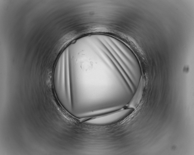 X0000098171225200805151109