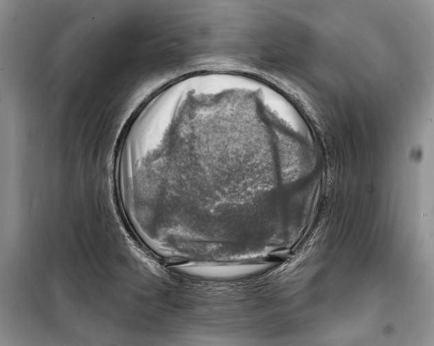 X0000098171231200805151109