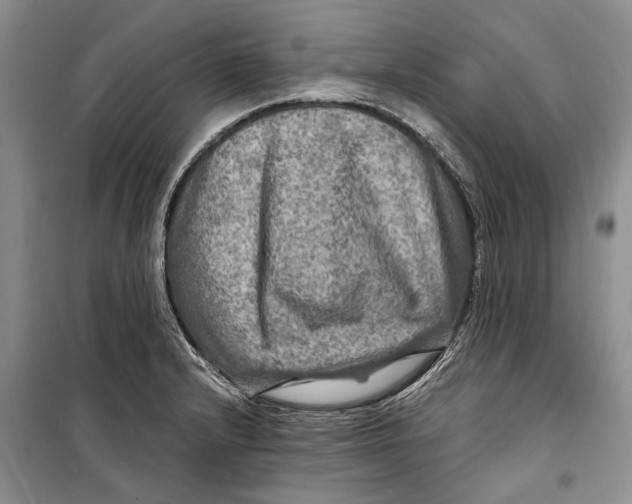 X0000098171232200805151109