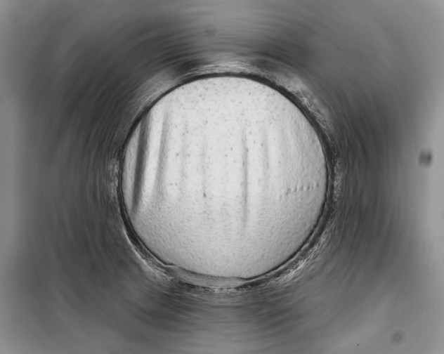 X0000098171233200805151109