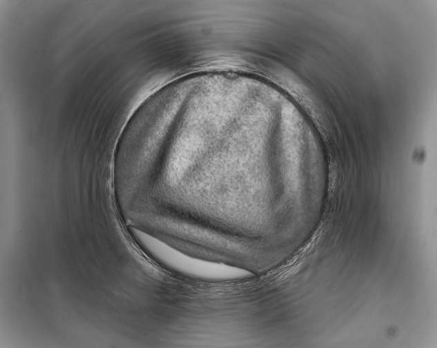 X0000098171234200805151109