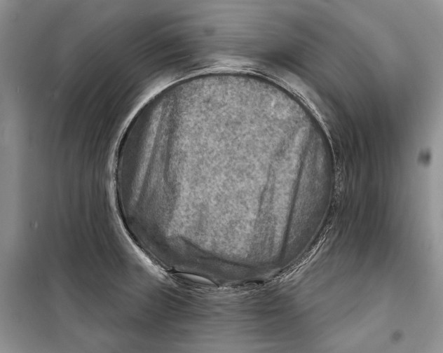 X0000098171235200805151109