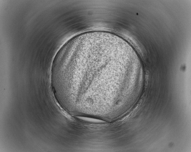 X0000098171236200805151109