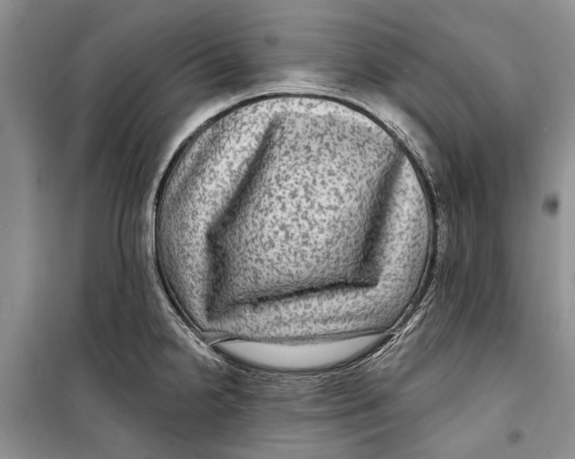 X0000098171238200805151109