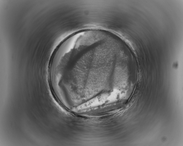 X0000098171239200805151109