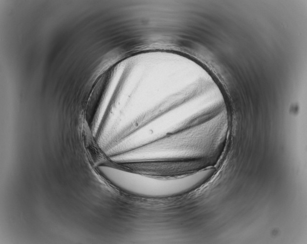 X0000098171241200805151109