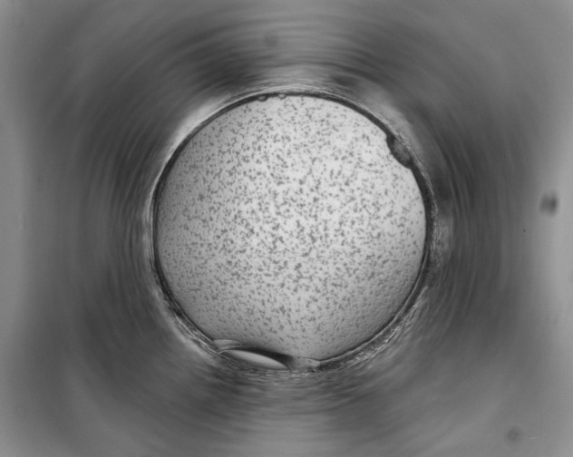 X0000098171242200805151109