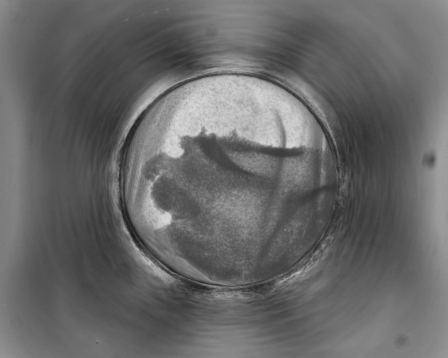 X0000098171243200805151109