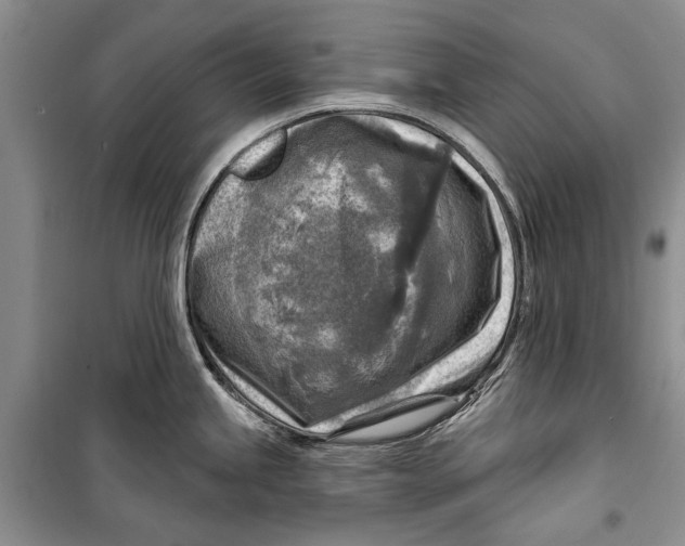 X0000098171245200805151109