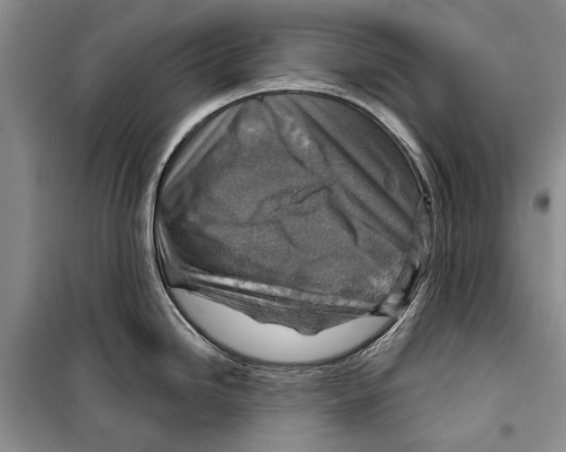 X0000098171246200805151109