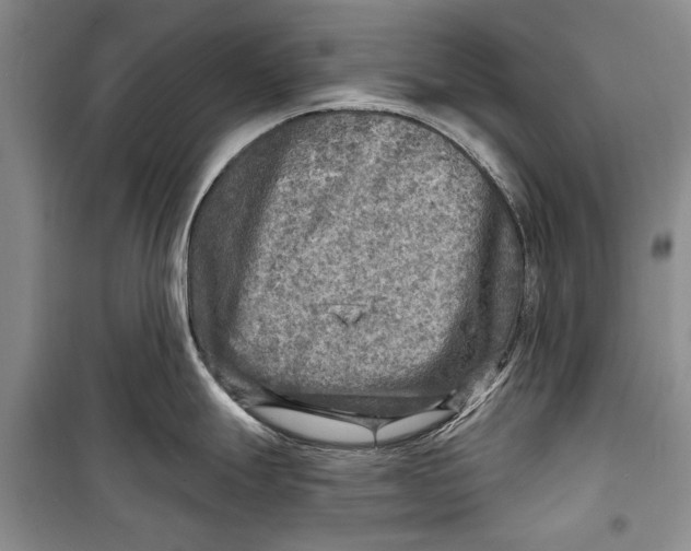 X0000098171247200805151109