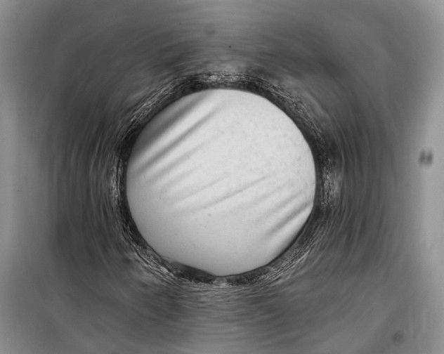 X0000098171250200805151108