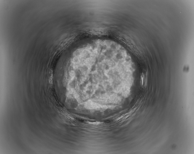 X0000098171251200805151108