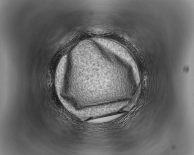 X0000098171253200805151108