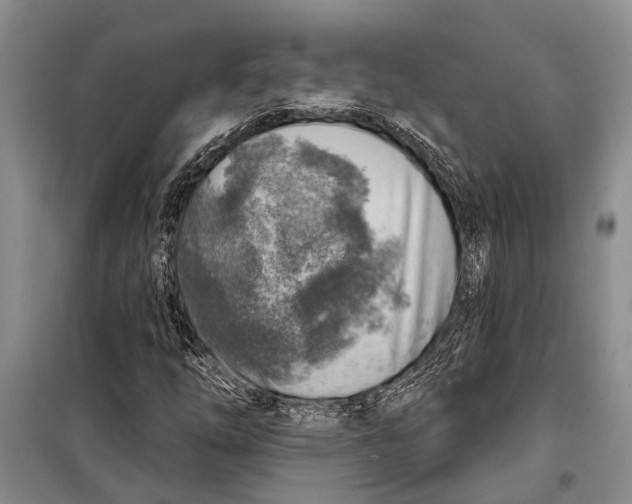 X0000098171254200805151108