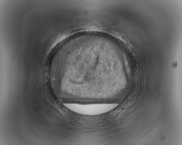 X0000098171255200805151108