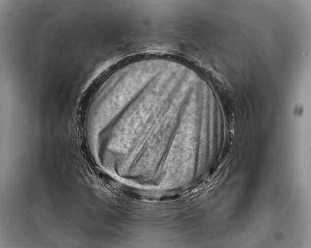 X0000098171256200805151108