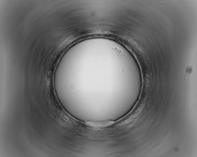 X0000098171257200805151108