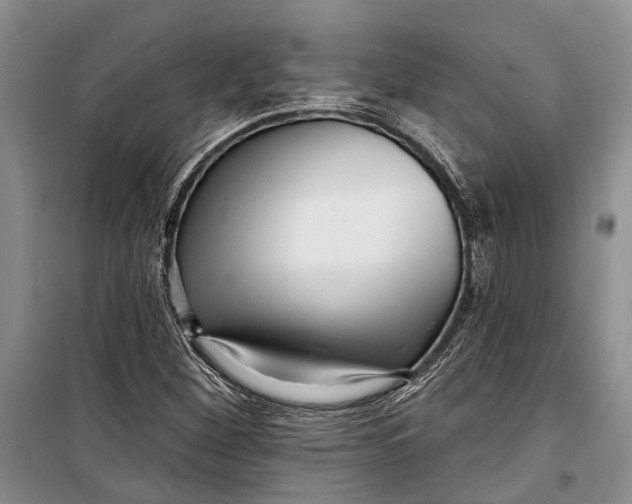 X0000098171260200805151108