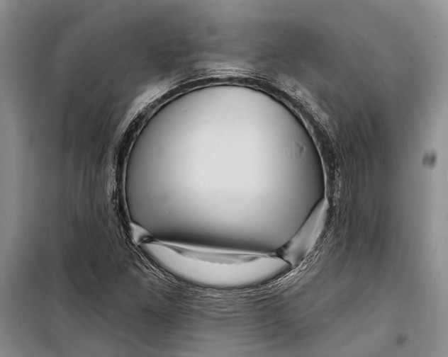 X0000098171261200805151108