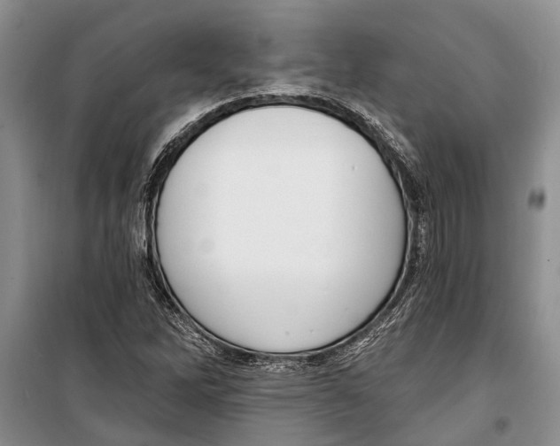 X0000098171262200805151108