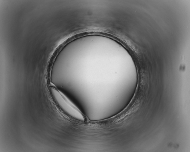 X0000098171264200805151108