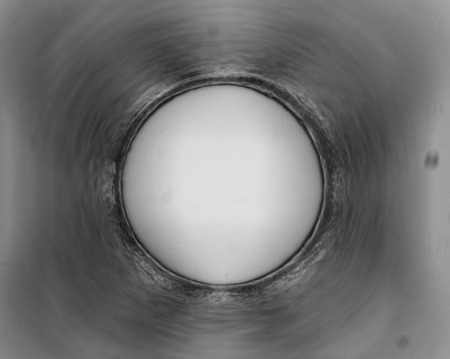 X0000098171265200805151108