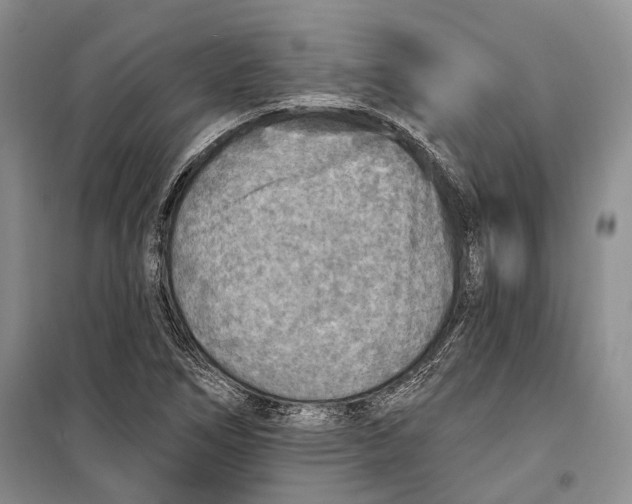 X0000098171266200805151108