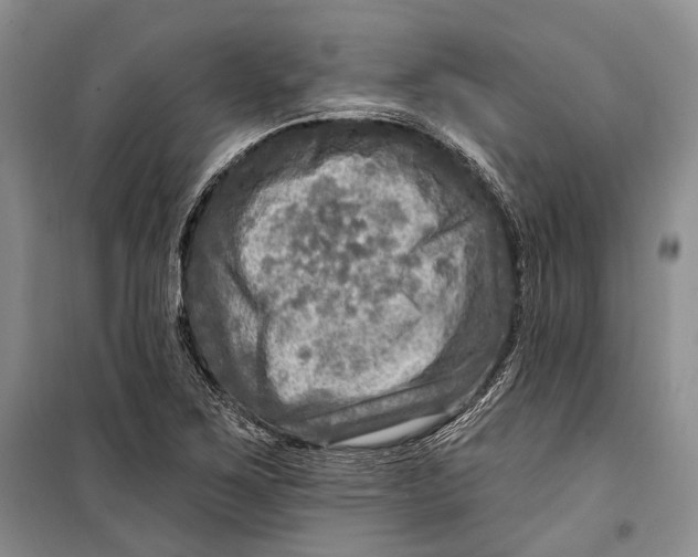 X0000098171267200805151108