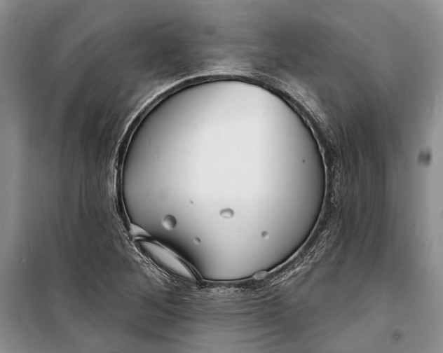 X0000098171268200805151108