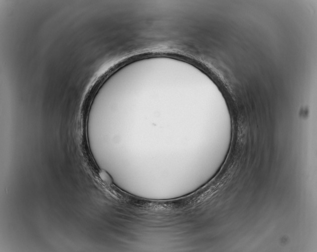 X0000098171270200805151108