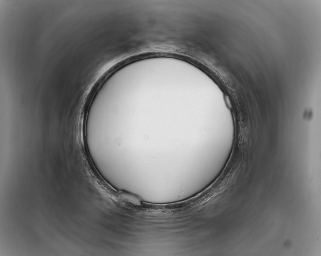 X0000098171272200805151108