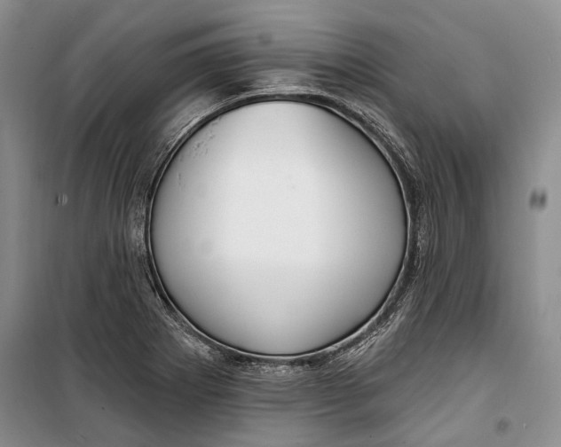 X0000098171273200805151108