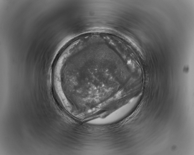 X0000098171275200805151108