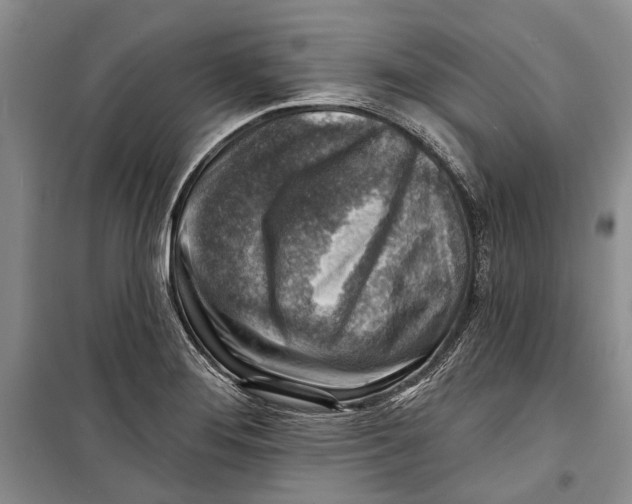 X0000098171276200805151108