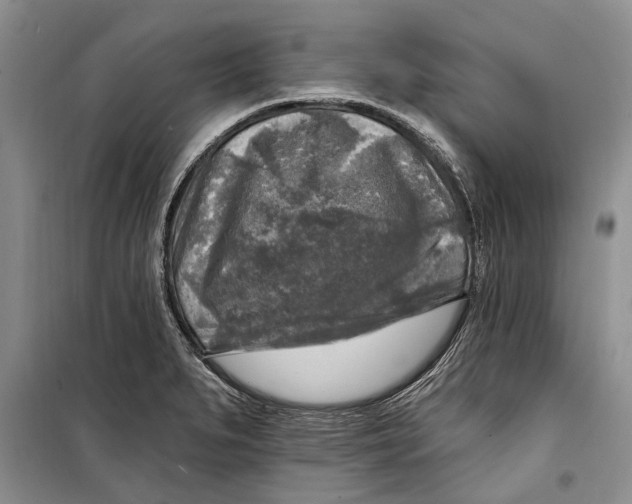 X0000098171279200805151108