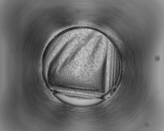 X0000098171280200805151108