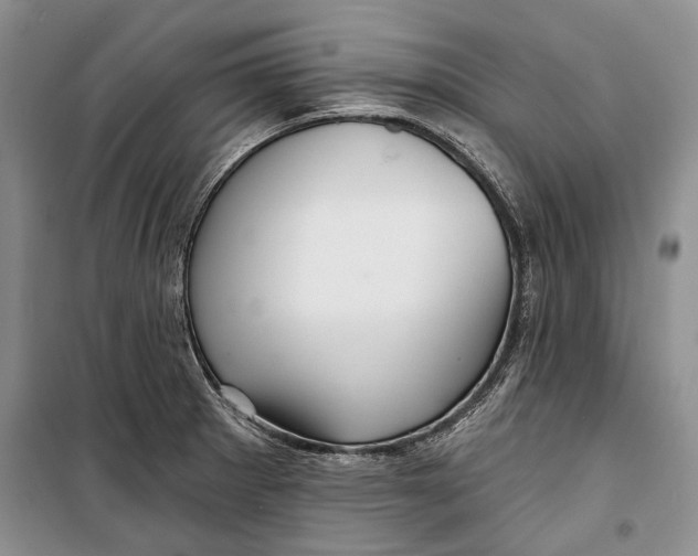 X0000098171281200805151108