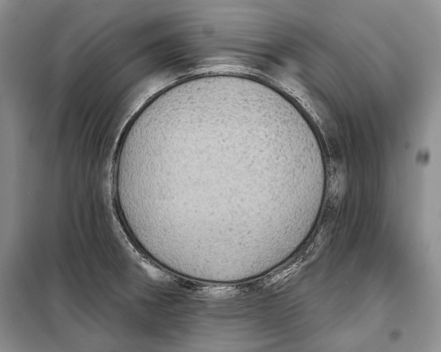 X0000098171282200805151108