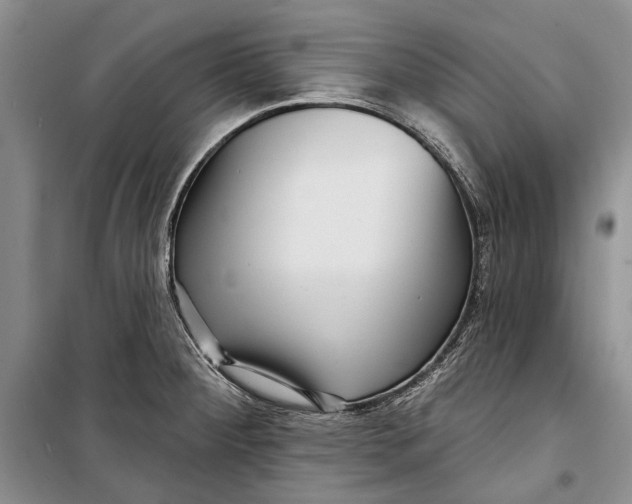 X0000098171284200805151108