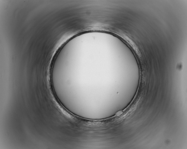 X0000098171285200805151108