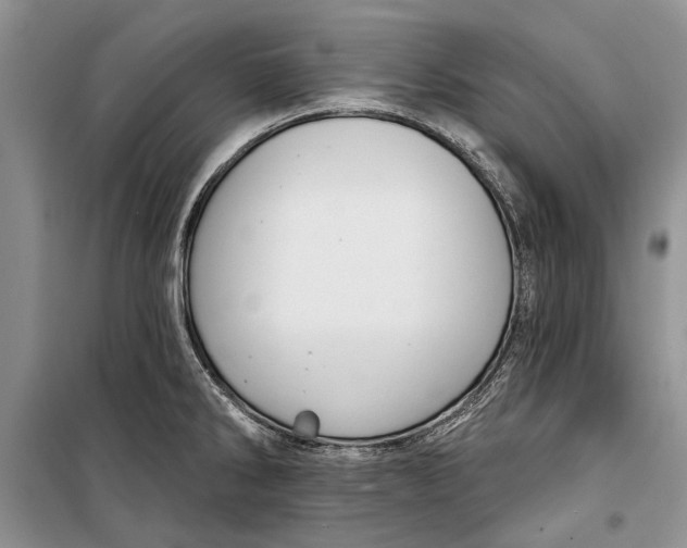 X0000098171286200805151108