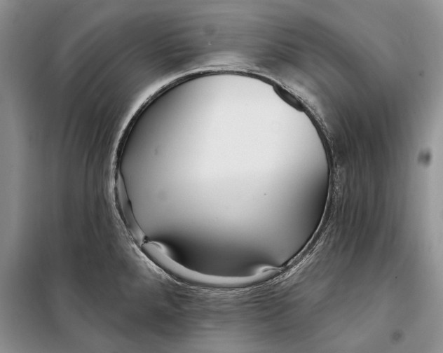 X0000098171288200805151108