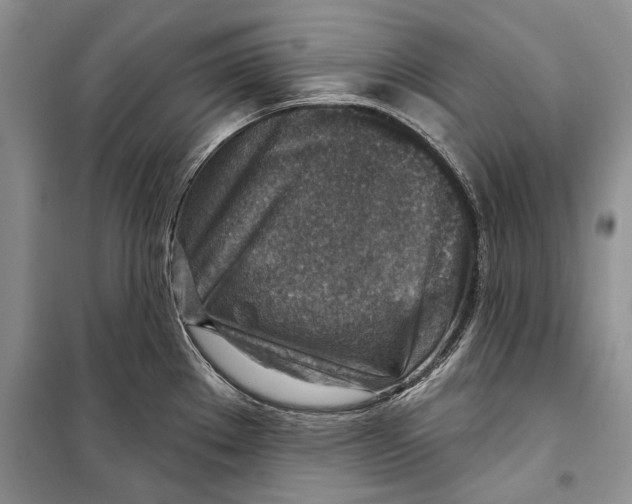 X0000098171289200805151108