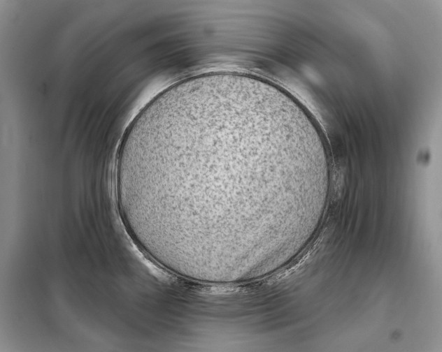 X0000098171290200805151108