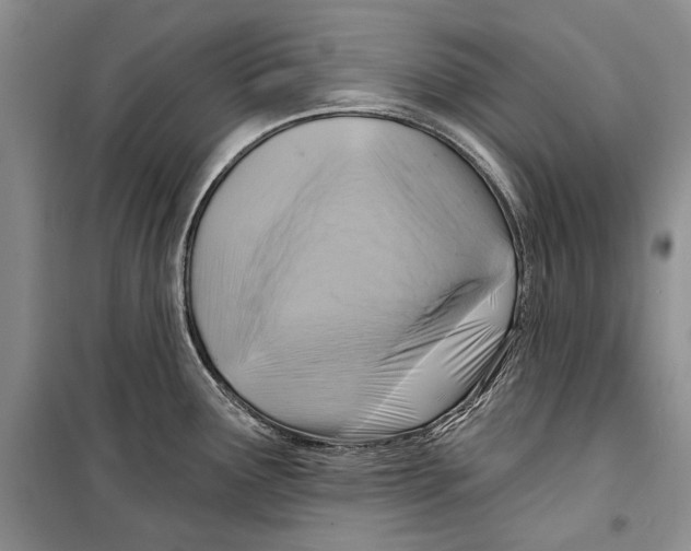 X0000098171291200805151108